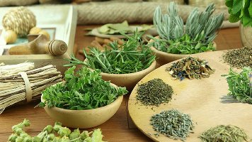 Dược Liệu Sinh Học Lên Men