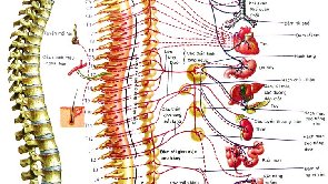 PHƯƠNG PHÁP TÁC ĐỘNG CỘT SỐNG