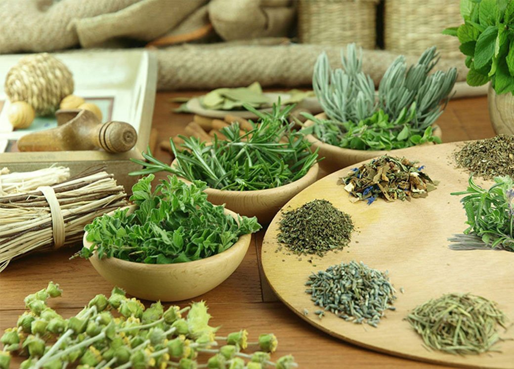 Thuốc Nam cho người Việt